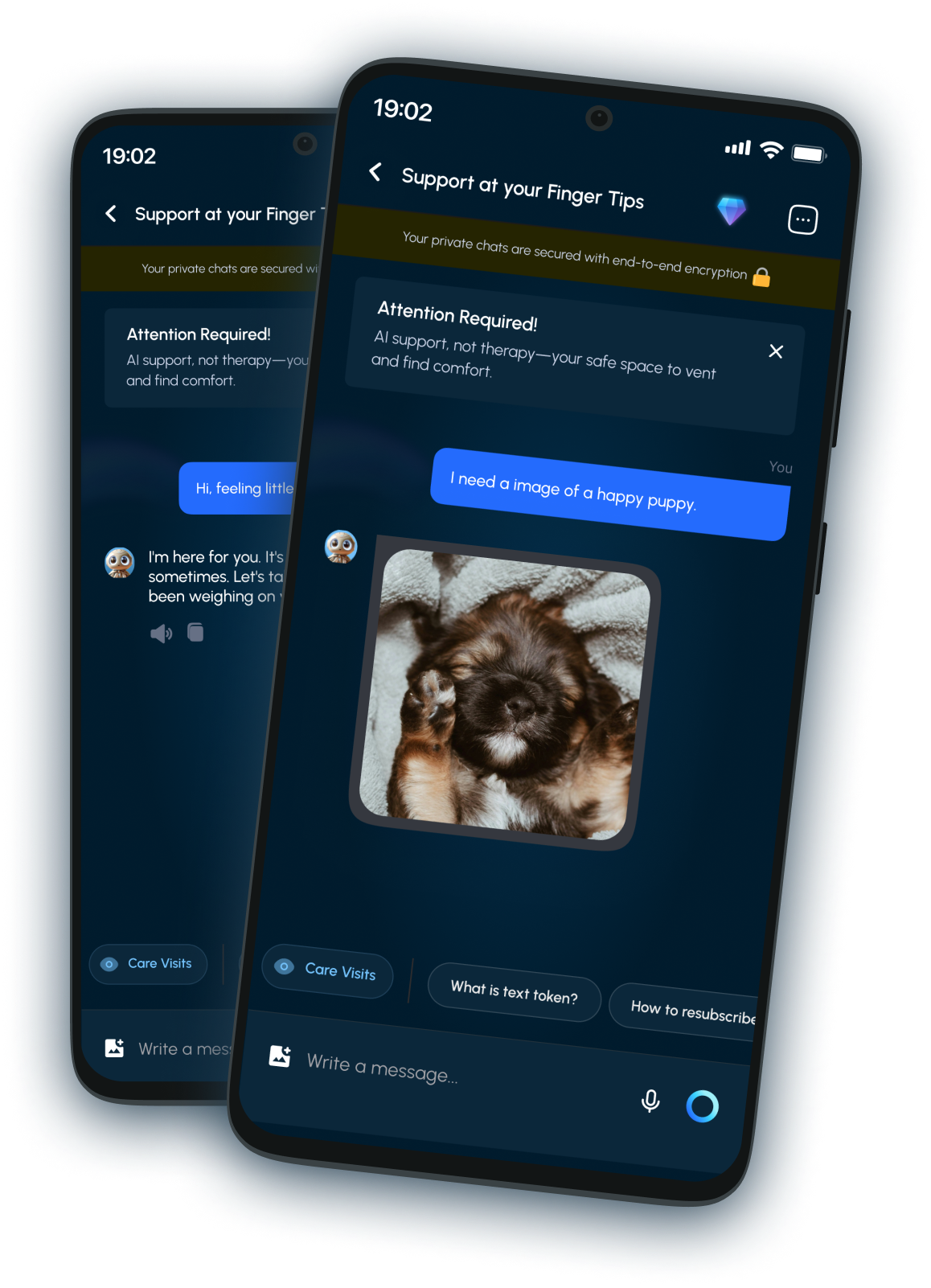 Pocket Mate.AI users interface images